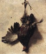 WEENIX, Jan Baptist Dead Partridge USA oil painting reproduction